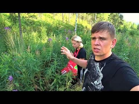 Видео: Про лесные и домашние запасы