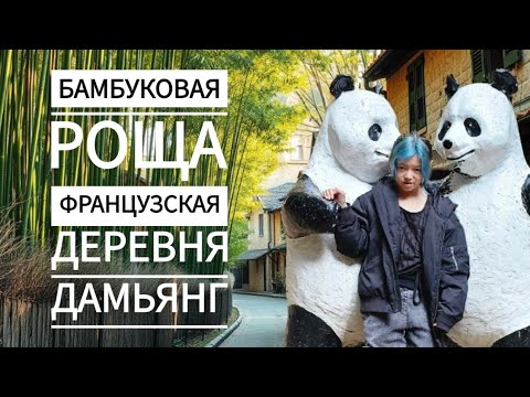 Видео: Южная Корея. Бамбуковая роща. Французская деревня. Путешествие в Дамьянг.