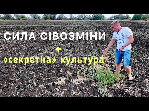Видео: Посуха й війна можуть обнулити будь-кого. Але тут - інша історія