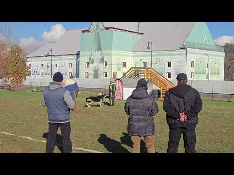 Видео: Большой Русский Ринг Пушкин 18.10.2025 Группа Б участник №1