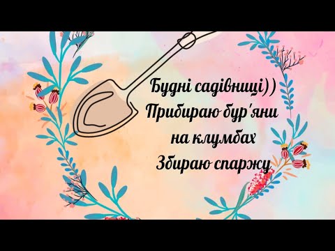 Видео: Мій сад🥰 Будні садівниці😊😊😊 Прополюю бур'яни на клумбі🤪🤪🤪 Збираю урожай спаржі😋😋😋