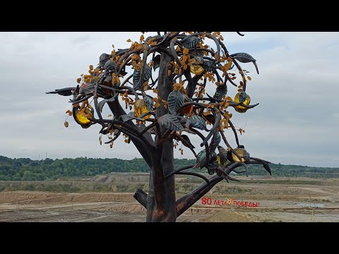 Видео: Приморский карьер по добыче янтаря в Курортном Посёлке Янтарный