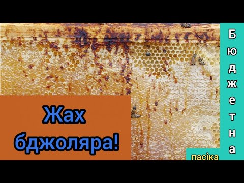 Видео: Що робити з рамками які в непристойному стані? Старий мед в рамках! Все про бджільництво.
