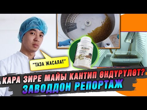 Видео: Кара зире майы кантип өндүрүлөт? Заводдон репортаж