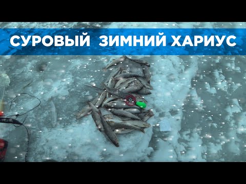 Видео: Безмотылка,мушка,зимний хариус!