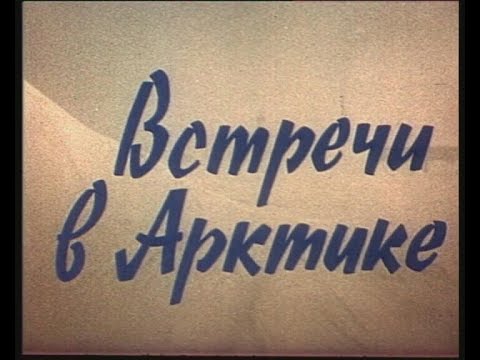 Видео: ВСТРЕЧИ В АРКТИКЕ