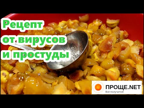 Видео: Айва японская (Хеномелес) для иммунитета