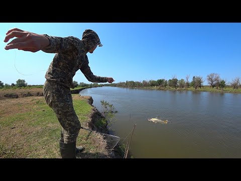 Видео: ГЛАВНОЕ НЕ УПАСТЬ. В ЛЮТУЮ МОШКУ РЫБУ ТАЩУ. Рыбалка на сазана, жереха. Сазан на закидушки.