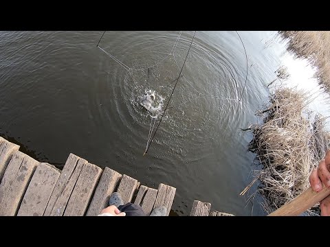 Видео: РЫБАЛКА НА ПАУК-ПОДЪЁМНИК. ЭТОТ ЧУДО МОСТ НЕ ПЕРЕСТАЁТ УДИВЛЯТЬ.ПОПАЛ НА ХОД РЫБЫ))