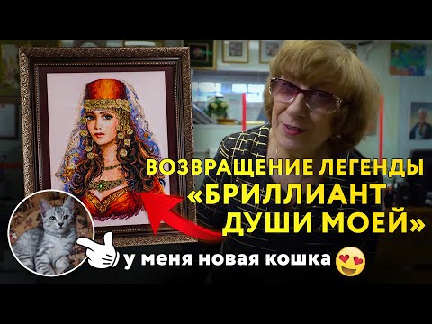 Видео: ЛЕГЕНДАРНАЯ ВЫШИВКА "Бриллиант души моей" на БАРХАТНОМ ПАСПАРТУ + 20 изящных работ. МОЯ НОВАЯ КОШКА