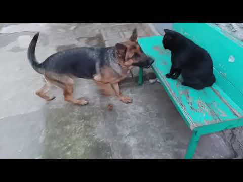 Видео: Дружковка 3 сентября 2025 г. Ночью💥.Кукурузиння.