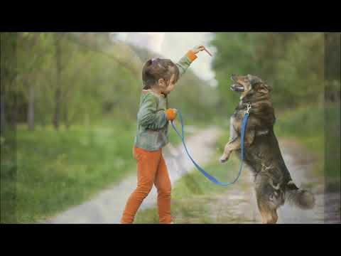 Видео: "Преданные глаза собаки" - занятие по ИЗО для детей 7 лет.