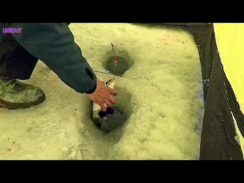 Видео: "Уловистая рыбалка" с Евгением Середой. Выпуск №10. Подлещик: " Философия удовольствия".