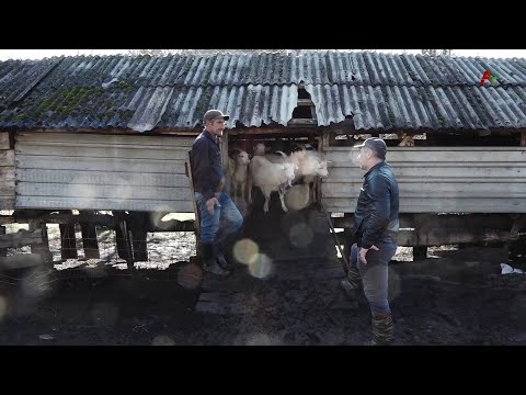 Видео: Анхаҩы. Џьгьарда.