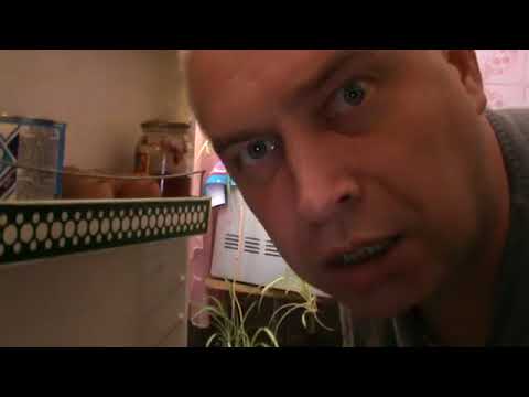 Видео: Я НЕ ПОНЯЛ, ЧТО ВЫ ДЕЛАЕТЕ В МОЁМ ХОЛОДИЛЬНИКЕ — Геннадий Горин