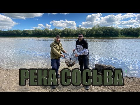 Видео: 3 дня на Сосьве | Больше 40 кг рыбы