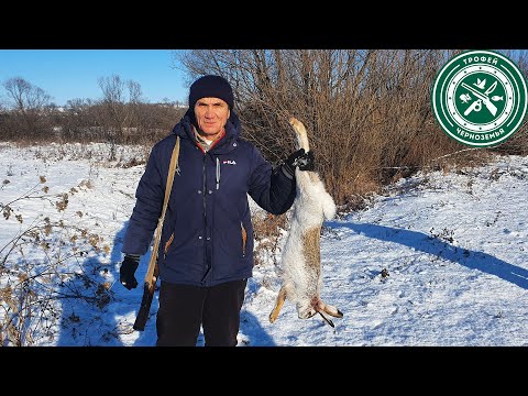 Видео: СЕКРЕТЫ СТАРЫХ ОХОТНИКОВ !  Охота на зайца 2021