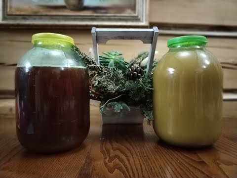 Видео: Карника, Бакфаст, Среднерусская пчела: Чей мёд лучше?