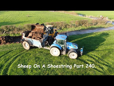 Видео: Овцы на веревочке. Часть 240.