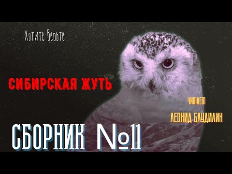 Видео: Сибирская Жуть: СБОРНИК №11. Чит. Леонид Блудилин