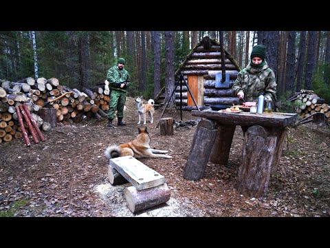 Видео: МЕДВЕДЬ ХОДИТ ВОЗЛЕ ИЗБУШКИ | МЕБЕЛЬ В ЛЕСНУЮ ХИЖИНУ И СТЕЙКИ НА КОСТРЕ