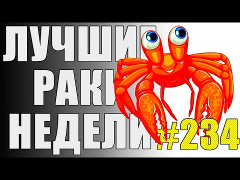 Видео: ЛРН выпуск №234 🤪 ПОДУШКА БЕЗОПАСНОСТИ и РИКОШЕТНОЕ РЕШЕТО [Лучшие Раки Недели]