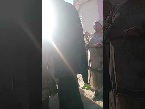 Видео: 23 октября 2025 г.