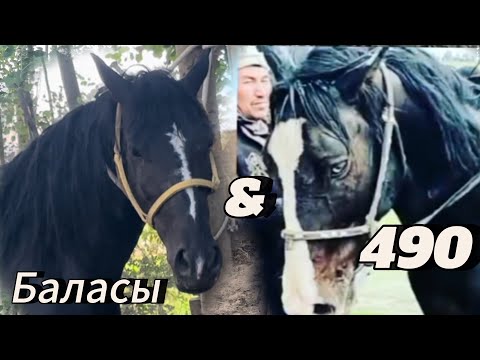Видео: Акыл балбандын Атынын баласы 4 жаш сатылып кетти
