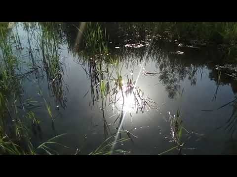 Видео: Люберецкий карьер. Затопленная дорога ;-)