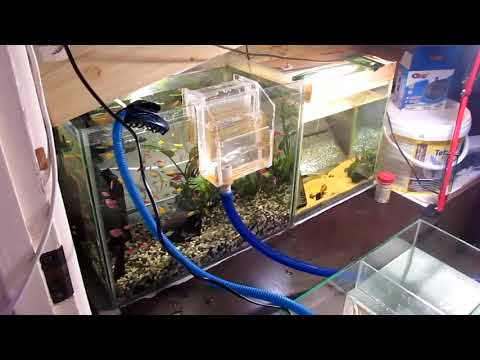 Видео: САМП или не большой биомеханический фильтр