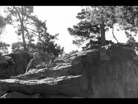 Видео: ГОСПОДЬ ШИВА И ТРОЙСТВЕННЫЕ БЕСПОКОЙСТВА УМА - Леонид Тугутов (Лакшми Нараяна дас)