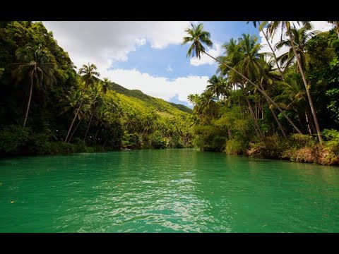 Видео: Уехал на Борнео на неделю и прокачался с 66 по 69 разряд