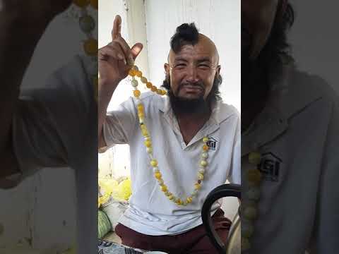 Видео: Жими Дар Бозори Гулистон.Нархи Ново  23:05.2021.mp4. Studio Guliston.