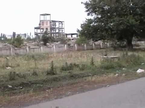 Видео: Токмак  косевныи  и  сахрныи