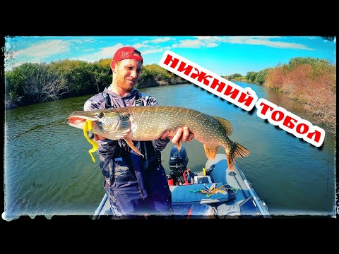 Видео: Хищник в Конце Августа. Ловля на джиг.