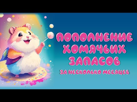 Видео: Хобби покупки за несколько месяцев