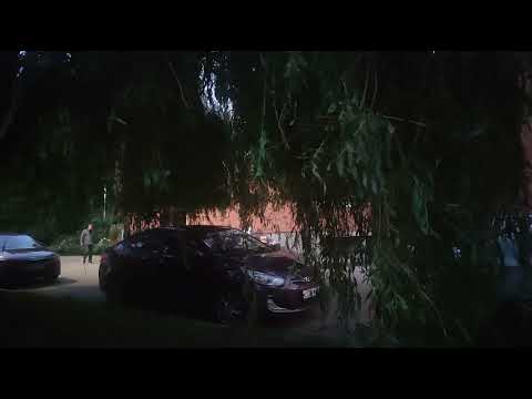 Видео: вечерние дворы Зеленоградск а... встречи и прощания....