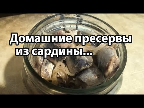 Видео: Вкуснейшие  пресервы из сардины...