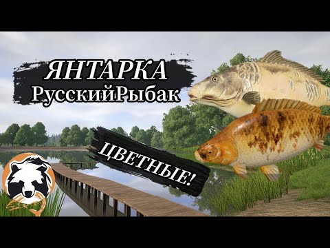 Видео: Высиживаем троф на Янтарке рр4 | Secret Views