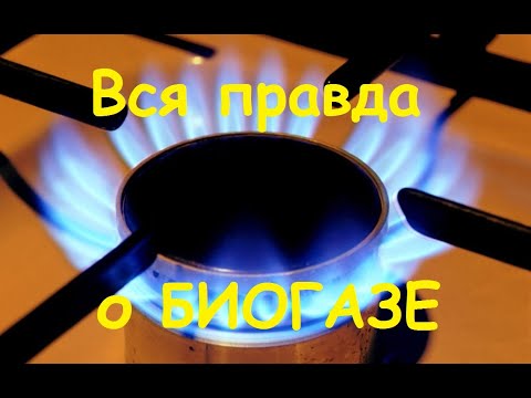 Видео: Биогаз, первый газ, перый эксперимент