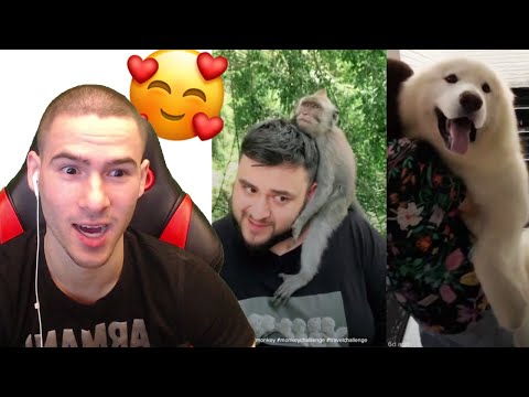 Видео: НАЙ–СЛАДКИТЕ МОМЕНТИ В TIK TOK