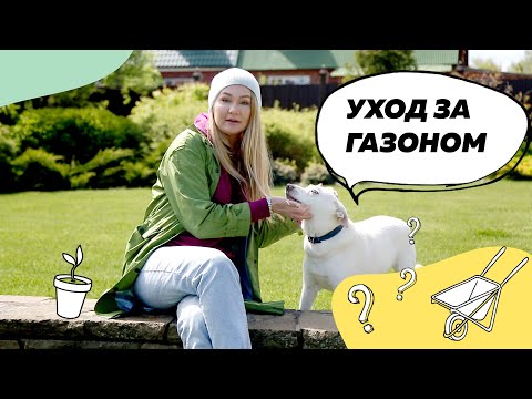 Видео: Газон | Уход за газоном | Ремонт газона | Ландшафтный дизайн