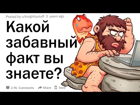 Видео: Какой забавный факт вы знаете?