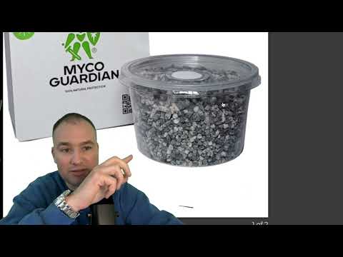 Видео: Гранули або зерновий міцелій яка триходерма краще