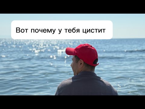 Видео: Вот почему у тебя цистит ! 