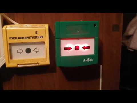 Видео: Тест-1. Опс На Стенде. + Не много Инфы. 