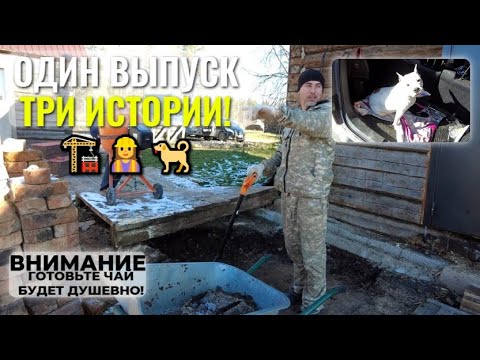 Видео: Начали стройку🏗️, проводили сестру👷♀️ и спасли собаку🐕! Один выпуск - три истории!