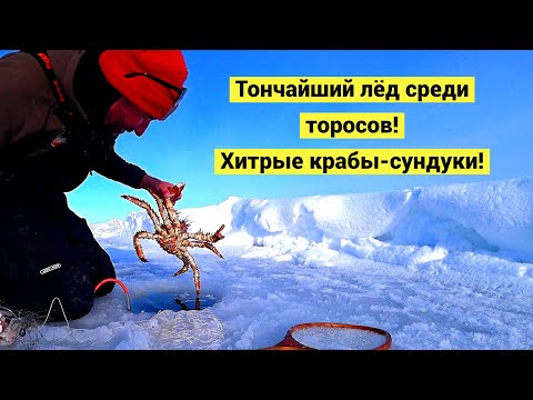 Видео: По локоть в прорубь за крабом!