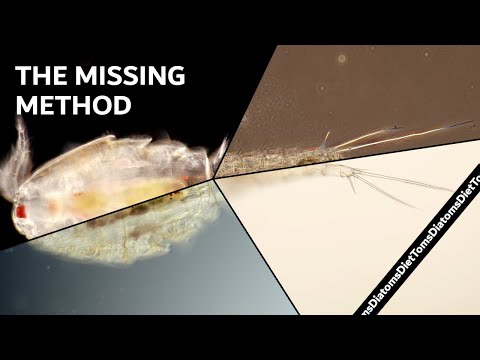 Видео: Четыре удивительных метода микроскопии на одном конденсоре