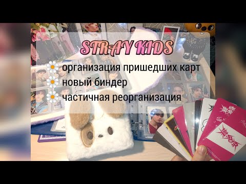 Видео: k-pop photocards collection: организация в биндеры #2 | ТОЛЬКО stray kids